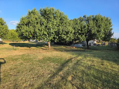 11021 Ghost Ridge Dr, Venus, TX 76084