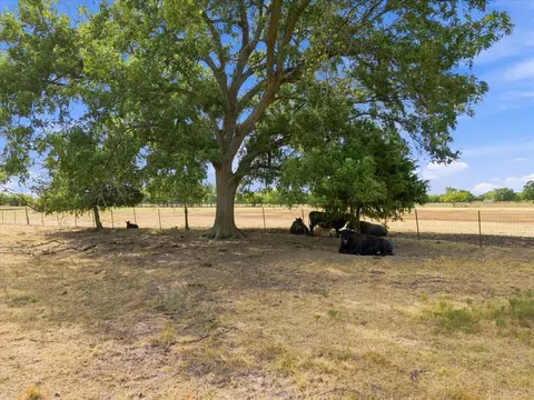 431 Fm 71, Commerce, TX 75428 photo 19