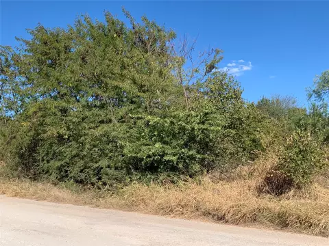 103 Bridlewood Ln, Bridgeport, TX 76426