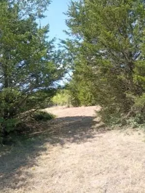 1226 Hcr 1425, Covington, TX 76636