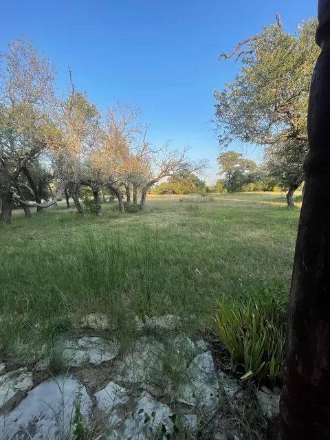 Other - 4750 Highway 1702, Gustine, TX 76455 photo 3 of 5