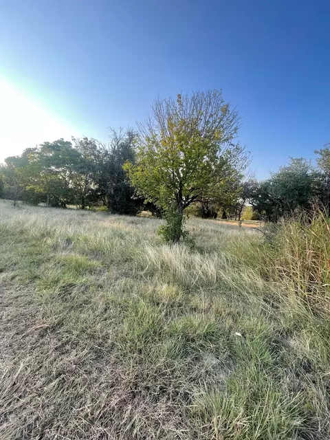 Other - 4750 Highway 1702, Gustine, TX 76455 photo 2 of 5