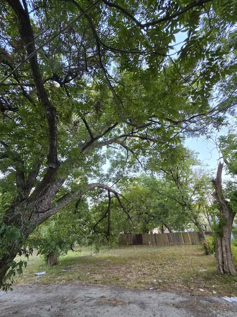 1218 Bliss St, Dallas, TX 75203