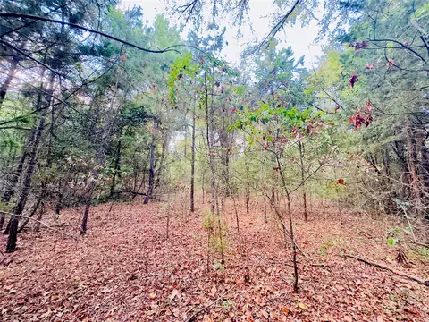 0000 Apple Tree Rd, Gilmer, TX 75644 photo 9