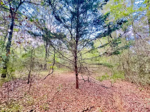 0000 Apple Tree Rd, Gilmer, TX 75644 photo 8