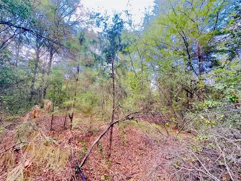 0000 Apple Tree Rd, Gilmer, TX 75644 photo 4