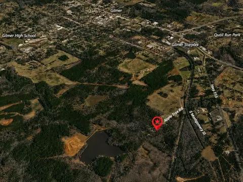 0000 Apple Tree Rd, Gilmer, TX 75644 photo 31