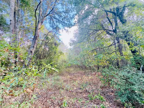 0000 Apple Tree Rd, Gilmer, TX 75644 photo 19