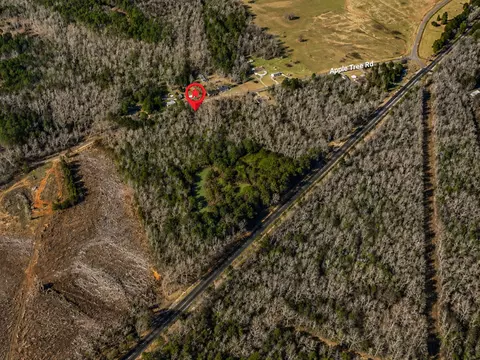 0000 Apple Tree Rd, Gilmer, TX 75644 photo 29