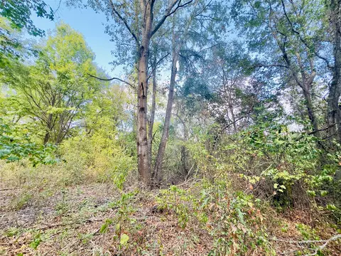 0000 Apple Tree Rd, Gilmer, TX 75644 photo 16