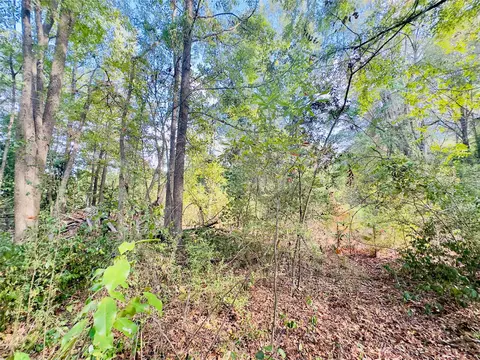 0000 Apple Tree Rd, Gilmer, TX 75644 photo 24