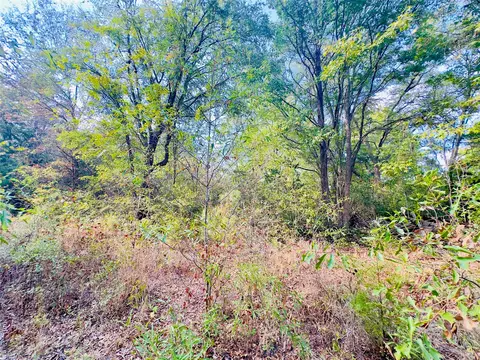 0000 Apple Tree Rd, Gilmer, TX 75644 photo 21