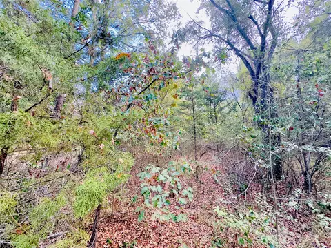 0000 Apple Tree Rd, Gilmer, TX 75644 photo 6