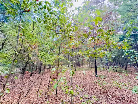 0000 Apple Tree Rd, Gilmer, TX 75644 photo 13