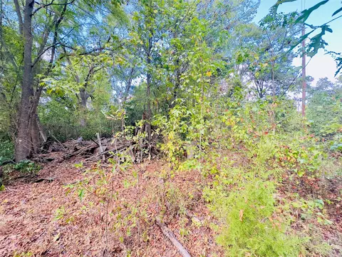 0000 Apple Tree Rd, Gilmer, TX 75644 photo 2