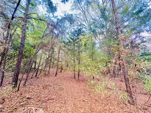0000 Apple Tree Rd, Gilmer, TX 75644 photo 15