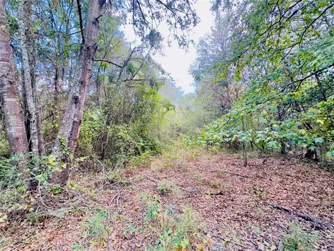 0000 Apple Tree Rd, Gilmer, TX 75644 photo 3