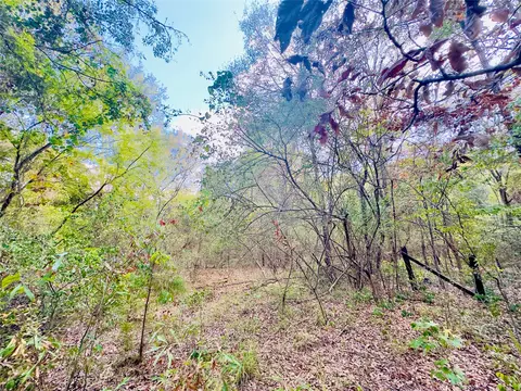 0000 Apple Tree Rd, Gilmer, TX 75644 photo 18