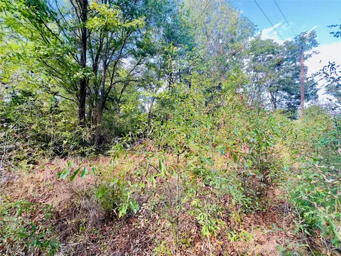 0000 Apple Tree Rd, Gilmer, TX 75644 photo 22