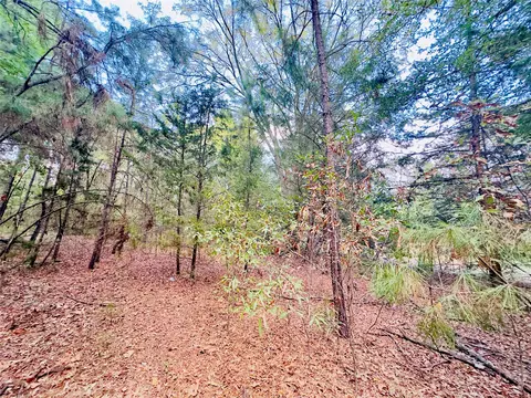 0000 Apple Tree Rd, Gilmer, TX 75644 photo 14