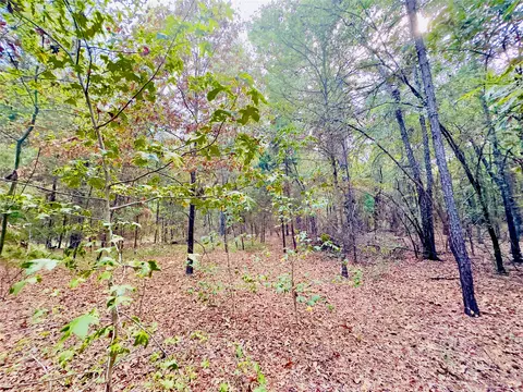 0000 Apple Tree Rd, Gilmer, TX 75644 photo 12