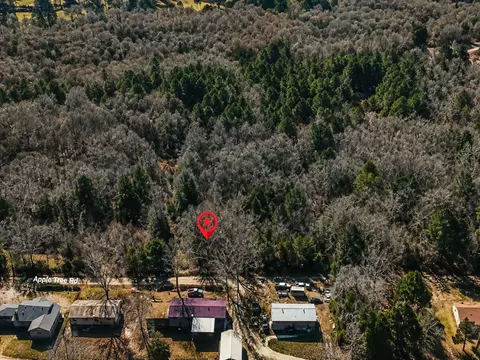 0000 Apple Tree Rd, Gilmer, TX 75644 photo 33