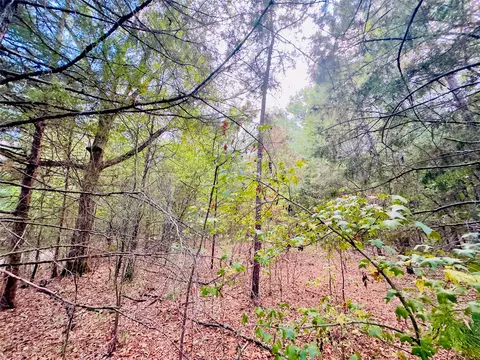 0000 Apple Tree Rd, Gilmer, TX 75644 photo 11