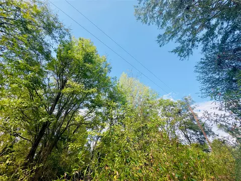 0000 Apple Tree Rd, Gilmer, TX 75644 photo 20