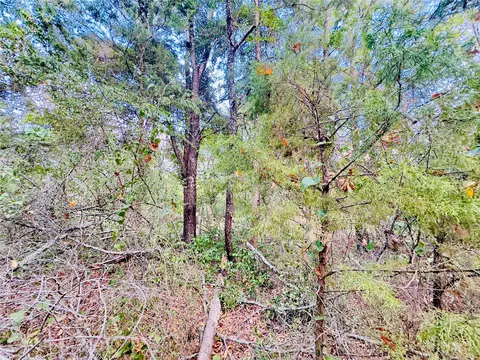0000 Apple Tree Rd, Gilmer, TX 75644 photo 5