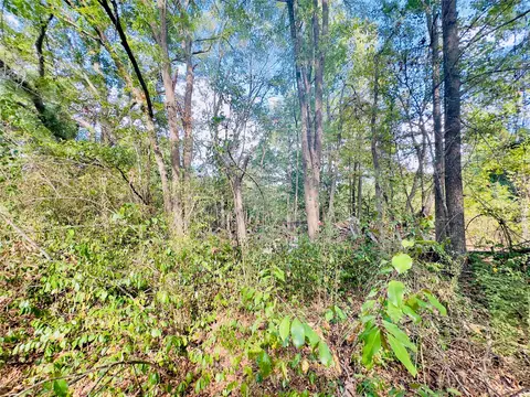 0000 Apple Tree Rd, Gilmer, TX 75644 photo 23