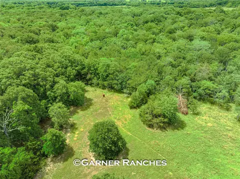 0000 County Road 1019, Celeste, TX 75423 photo 11