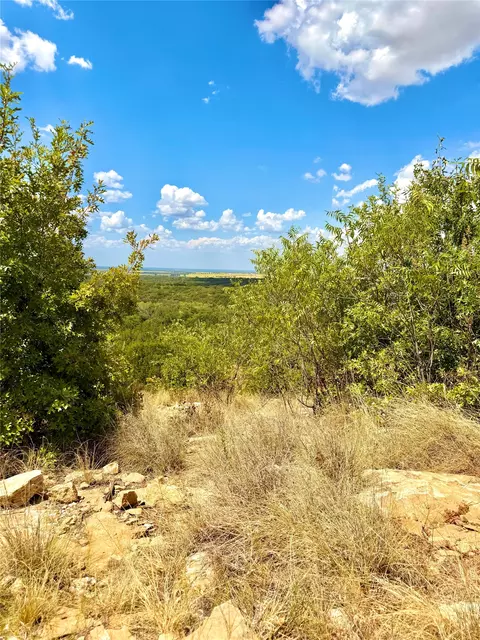 tbd Tract 7 Pecan Shell Rd, Desdemona, TX 76445