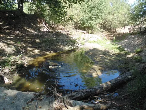699 County Road 260, Gustine, TX 76455 photo 3