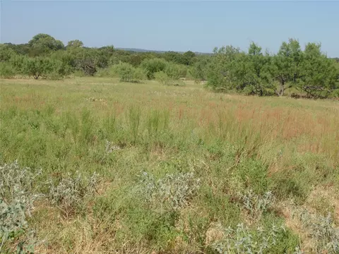 699 County Road 260, Gustine, TX 76455 photo 15