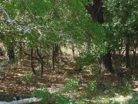 699 County Road 260, Gustine, TX 76455 photo 11