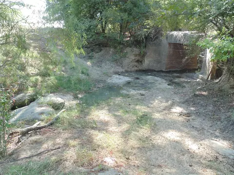 699 County Road 260, Gustine, TX 76455 photo 6