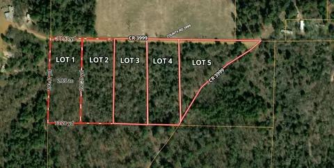 tbd County Road 3999, Winnsboro, TX 75494