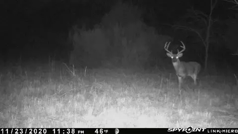 35050 County Road 35050, No City, TX 75446