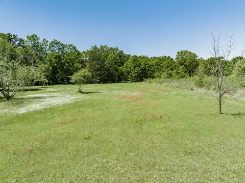 Exterior - 1830 Fm 288, Quitman, TX 75783 photo 9 of 11