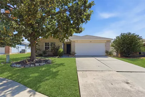 1209 Ash St, Anna, TX 75409
