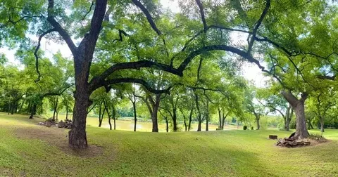 8704 Frontier Ct, Granbury, TX 76048