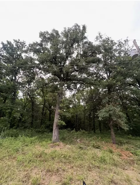 115 Inca Trl, Mabank, TX 75156