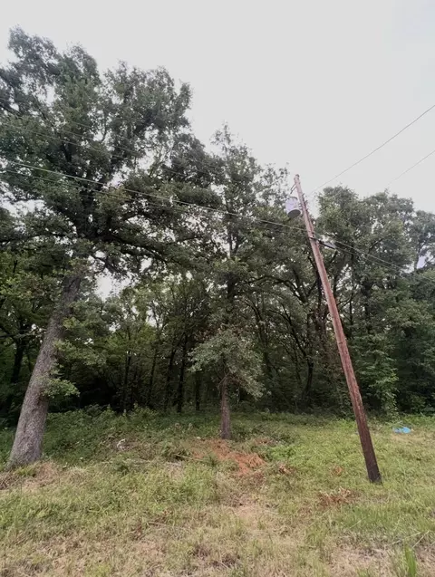 117 Inca Trl, Mabank, TX 75156