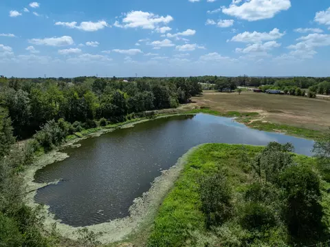 View/Area - 9488 Fm 937, Thornton, TX 77865 photo 4 of 7