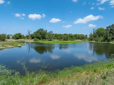 View/Area - 9488 Fm 937, Thornton, TX 77865 photo 3 of 7