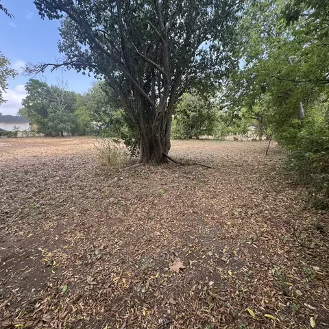 Exterior - 314 Arthur St, Mcgregor, TX 76657 photo 9 of 14