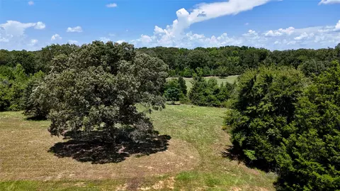 tbd Lee Dr, Murchison, TX 75778 photo 6
