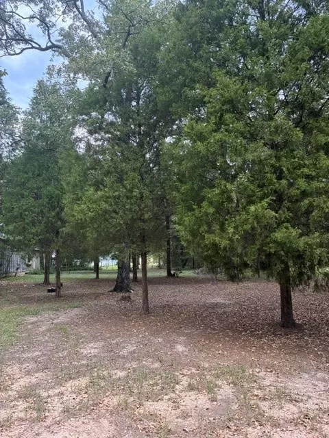 000 Jim Bowie Ln, Log Cabin, TX 75148