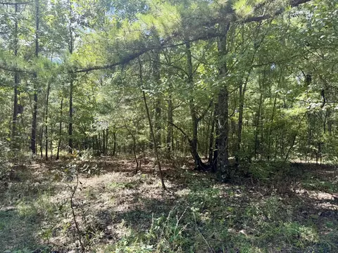 0 Asseff Rd, Mansfield, LA 71052 photo 7