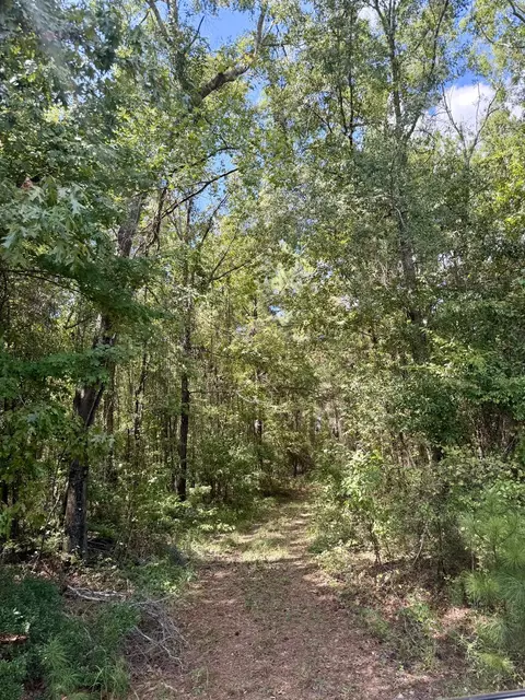 0 Asseff Rd, Mansfield, LA 71052 photo 5